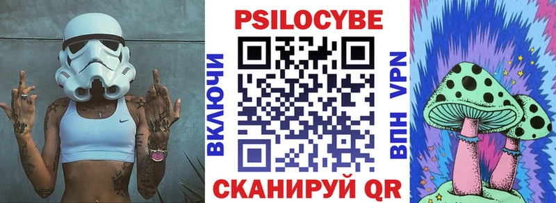 Псилоцибиновые грибы мицелий  где купить наркоту  мега tor  Кириллов 